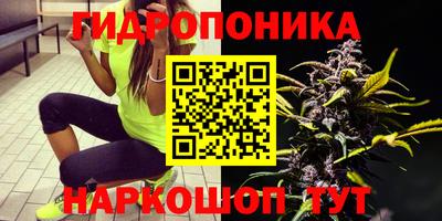 круглые Вязники